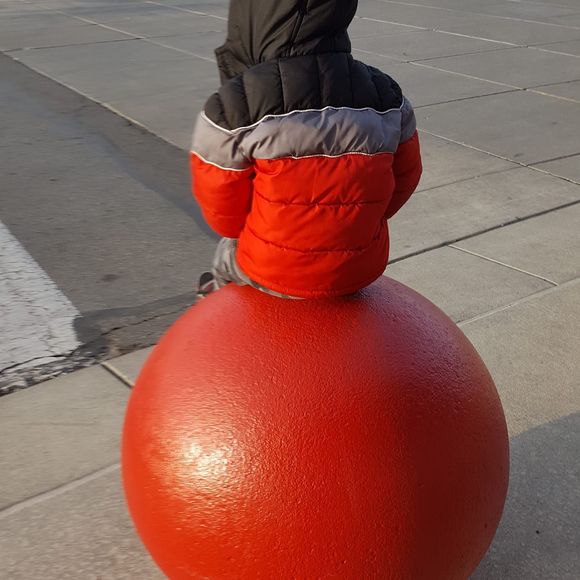 Meet your Posher, Elaine - Picture 1 of 1